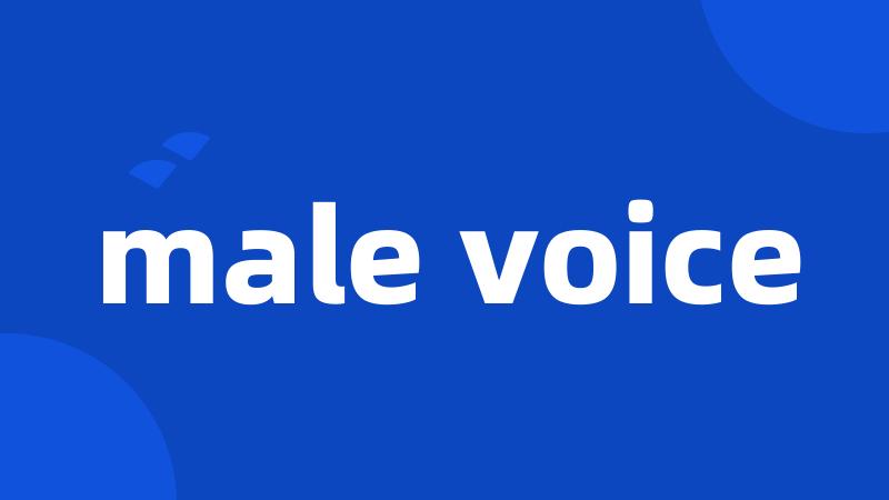 male voice