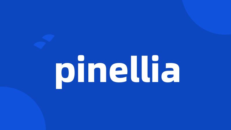 pinellia