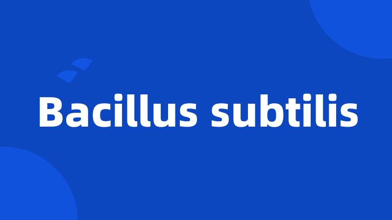 Bacillus subtilis