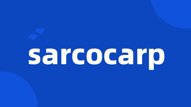 sarcocarp