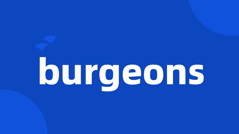 burgeons