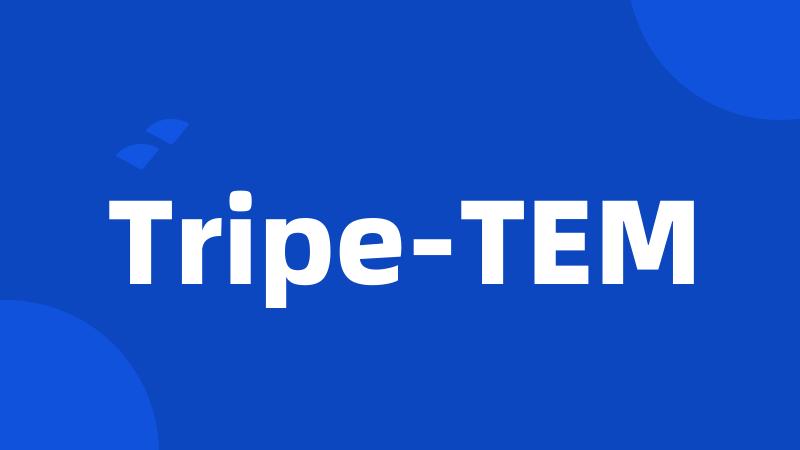 Tripe-TEM