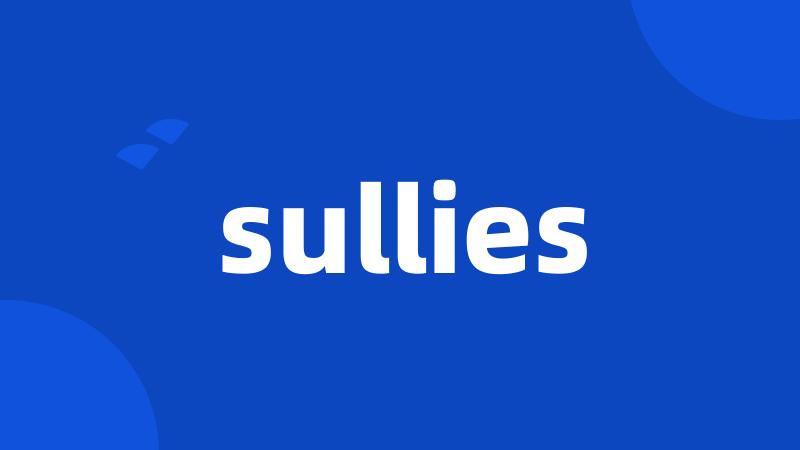 sullies