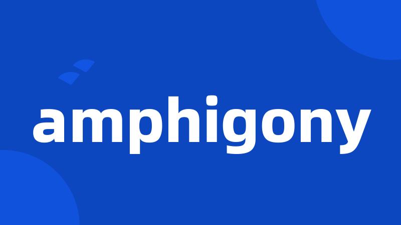 amphigony