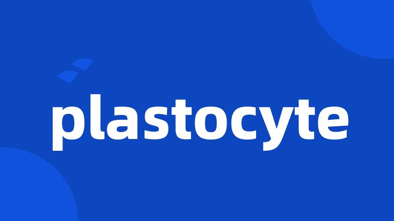 plastocyte