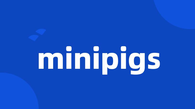 minipigs