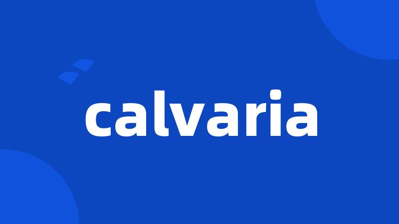 calvaria