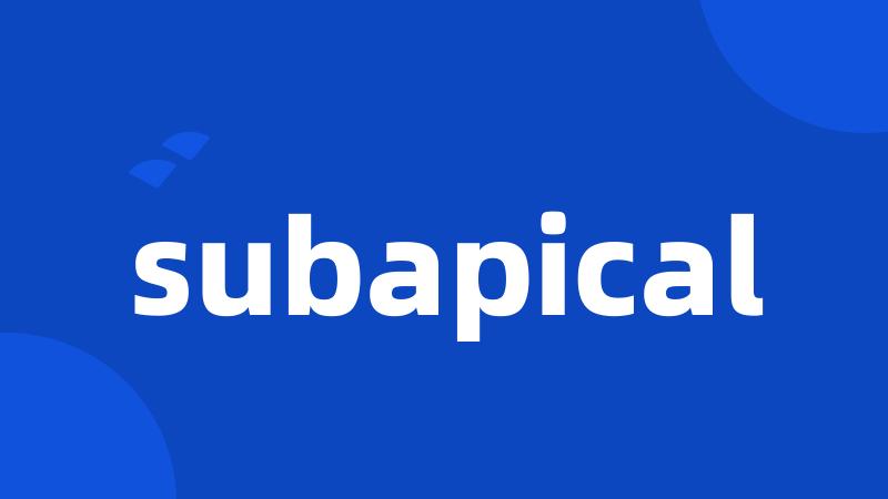 subapical