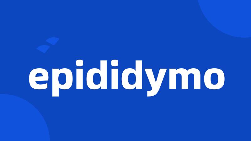 epididymo