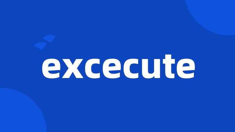 excecute