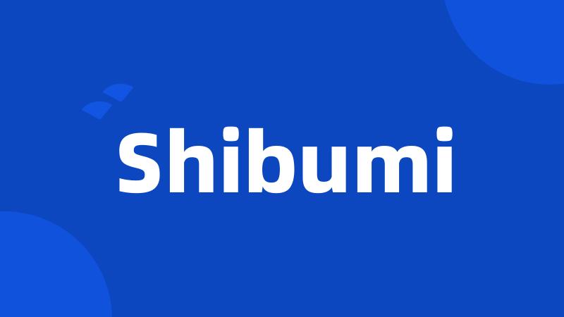 Shibumi