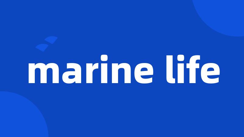 marine life