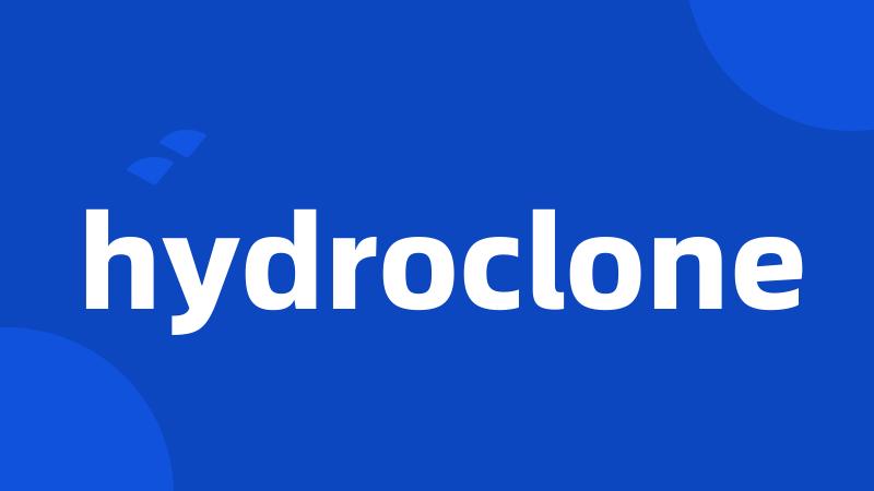hydroclone