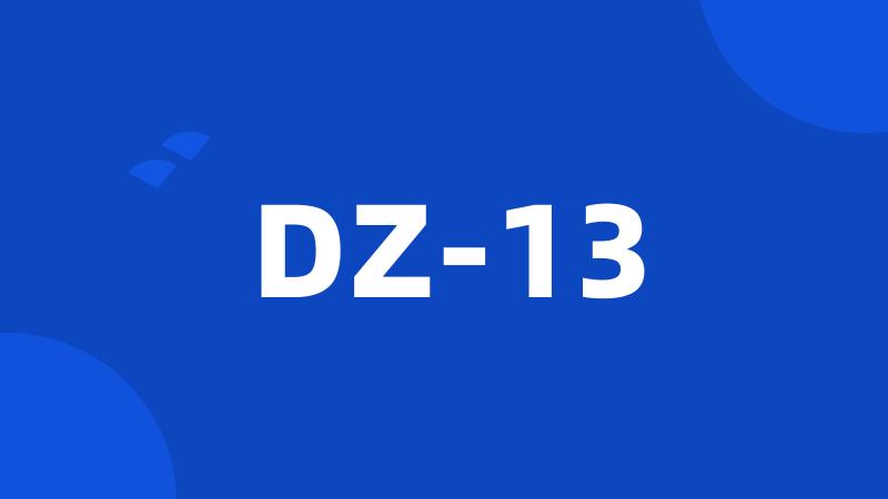 DZ-13