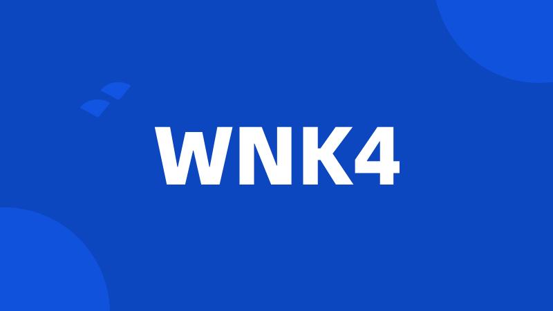 WNK4