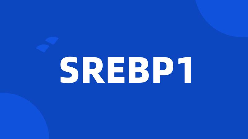 SREBP1