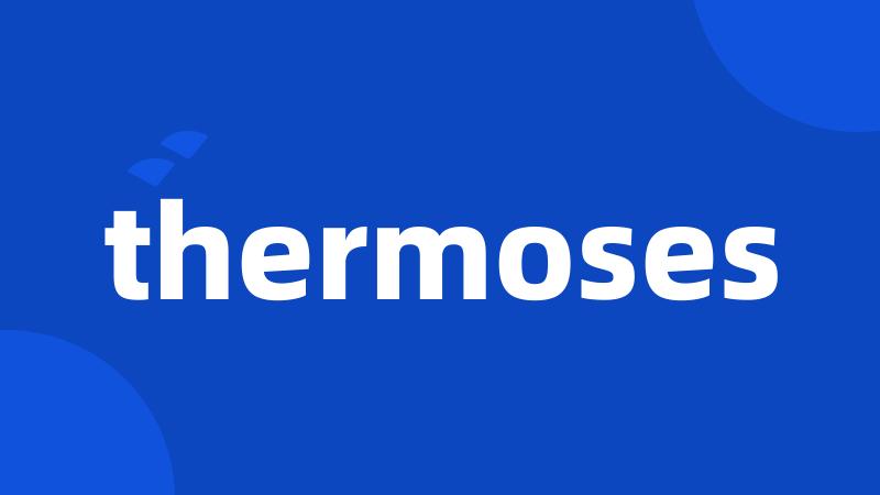 thermoses