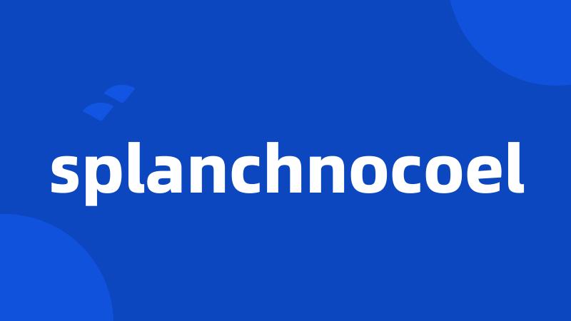 splanchnocoel