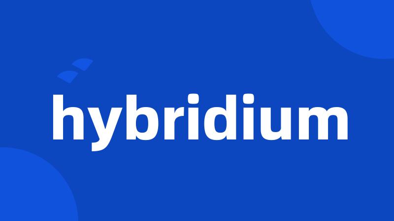 hybridium