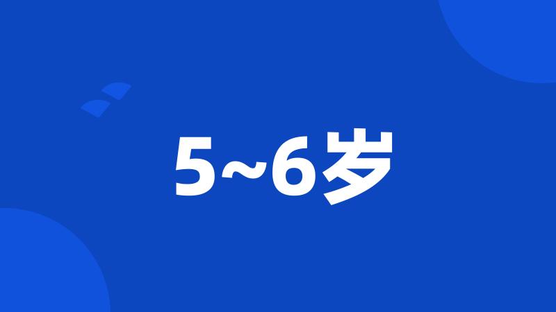 5~6岁