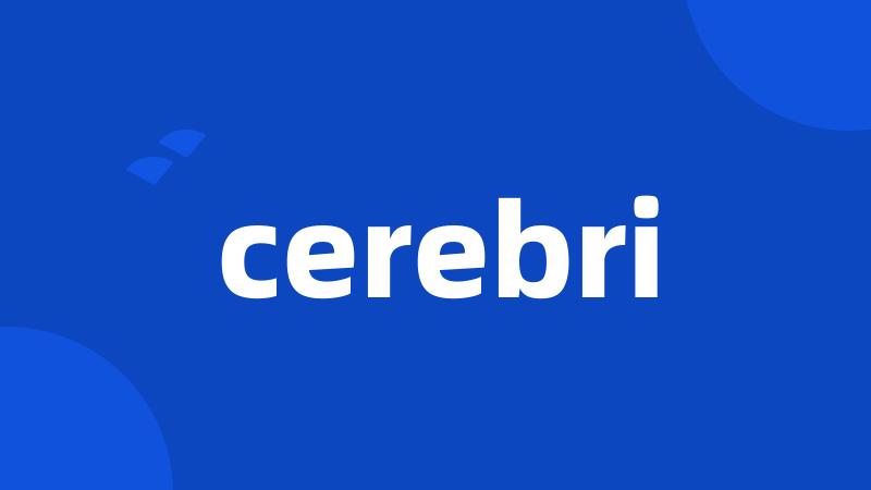 cerebri