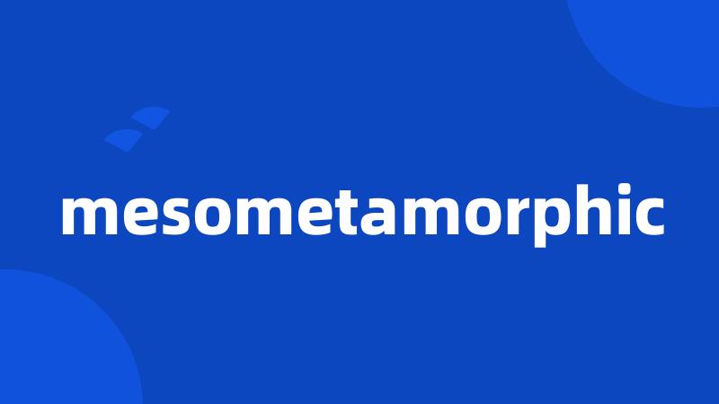mesometamorphic