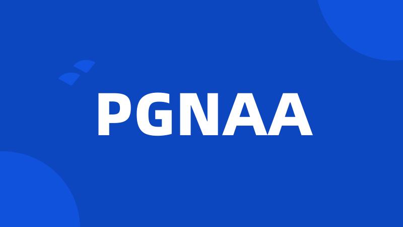 PGNAA