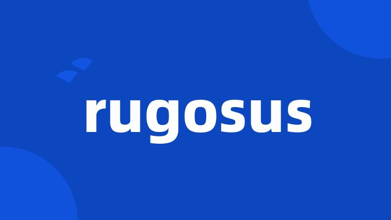 rugosus