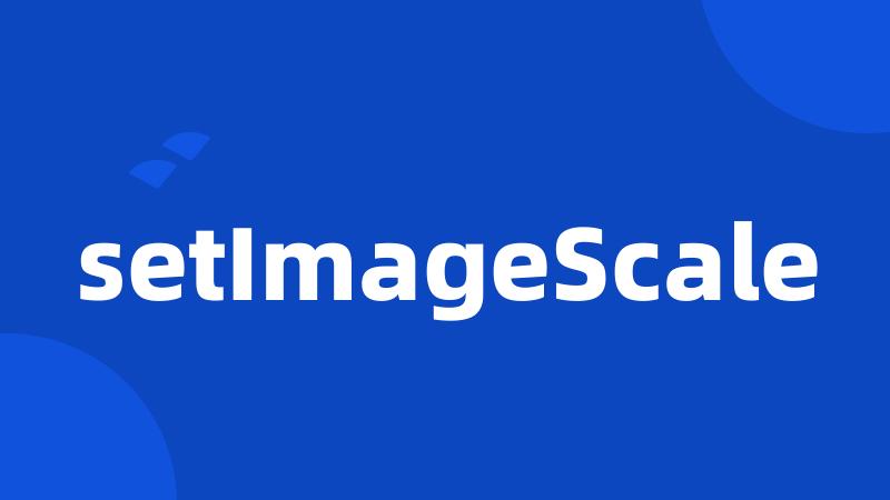 setImageScale