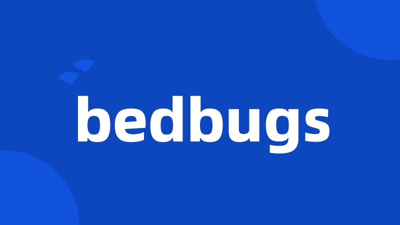 bedbugs