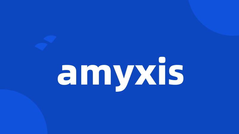 amyxis