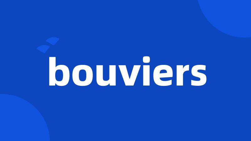 bouviers