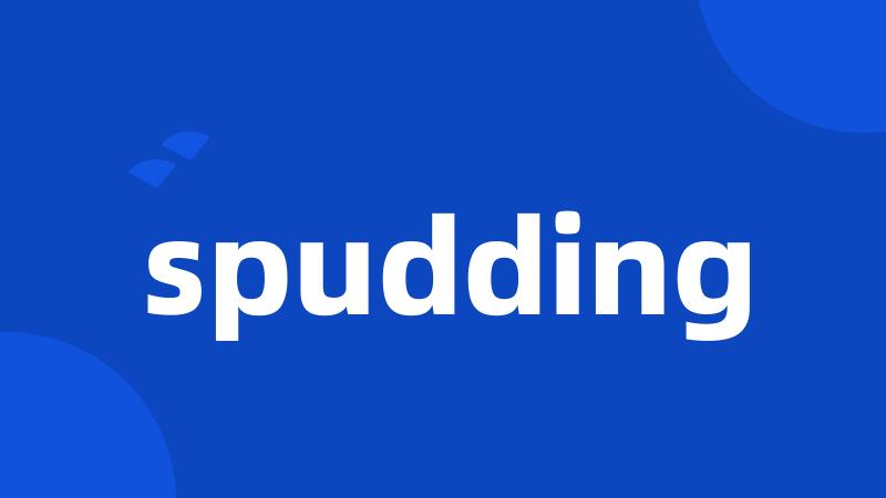 spudding