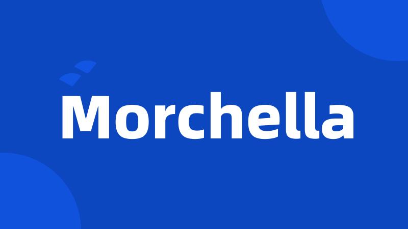 Morchella