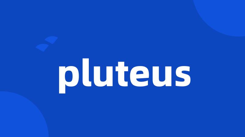 pluteus