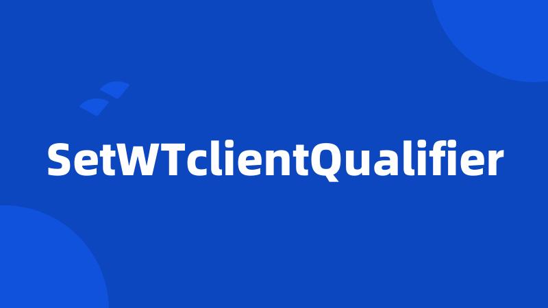 SetWTclientQualifier