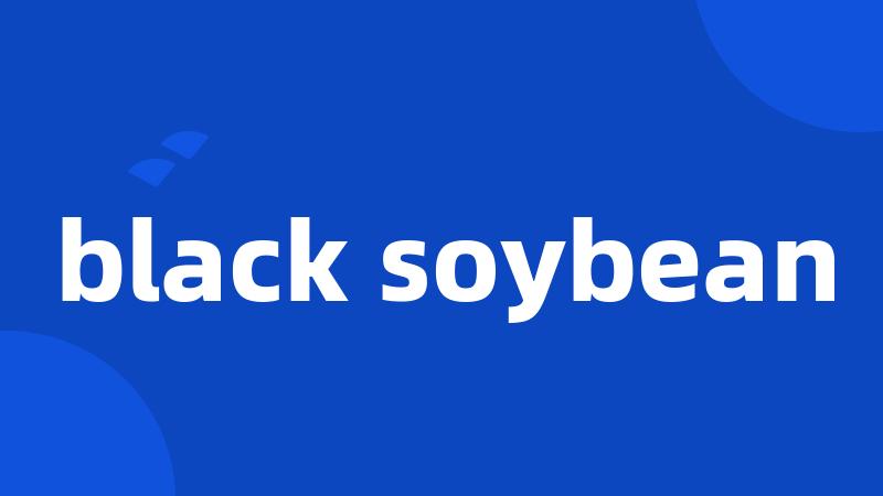 black soybean