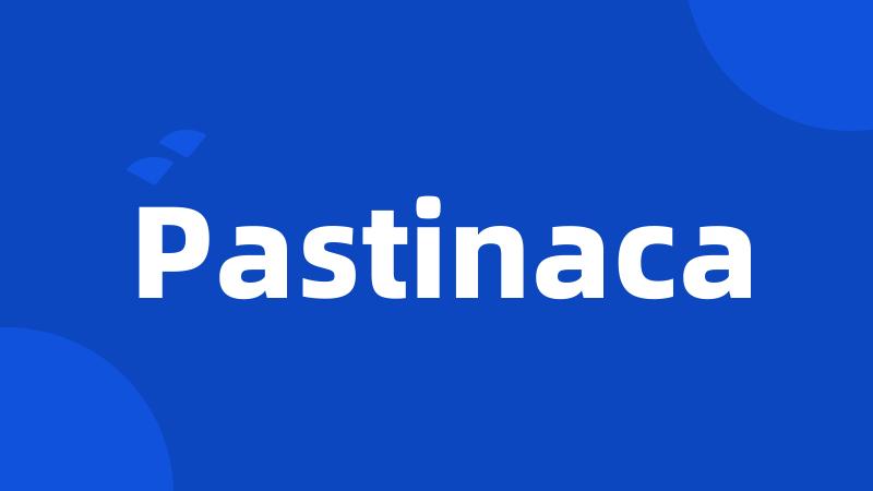 Pastinaca