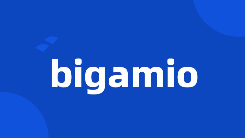 bigamio