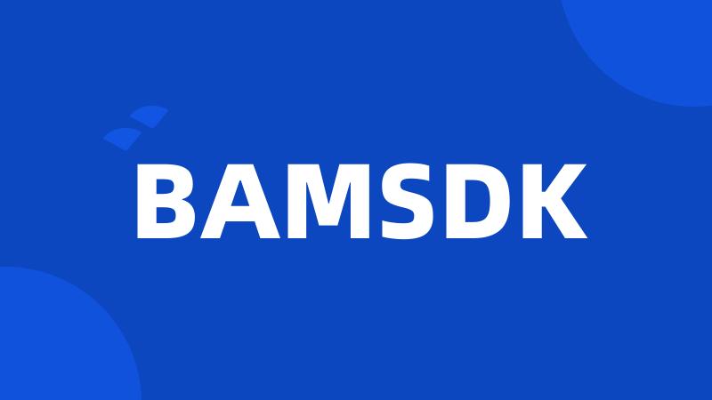 BAMSDK