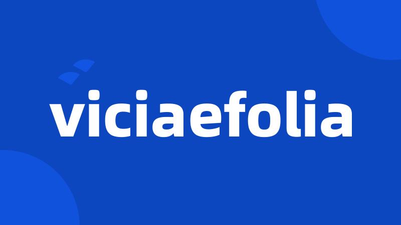 viciaefolia