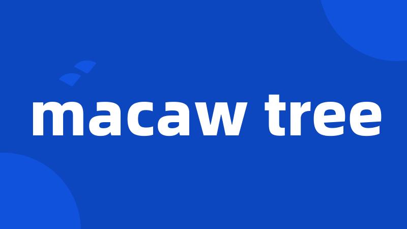 macaw tree