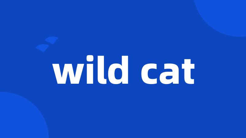 wild cat