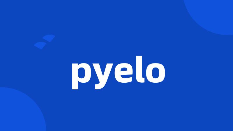 pyelo