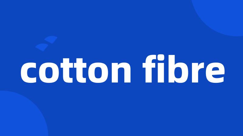 cotton fibre