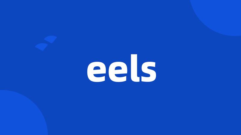 eels