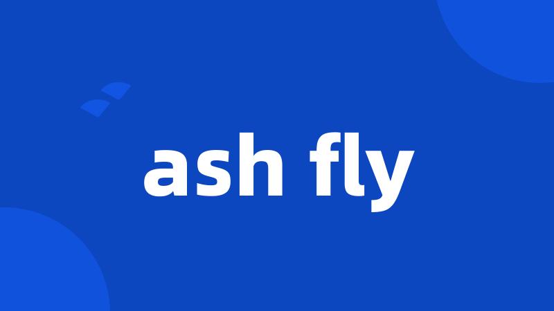 ash fly