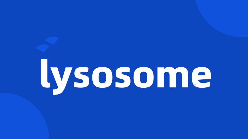 lysosome