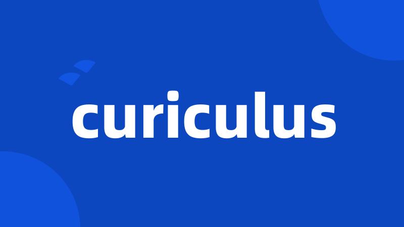 curiculus