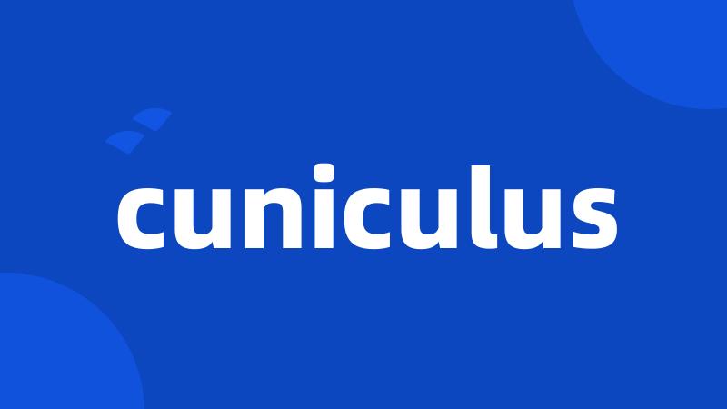 cuniculus